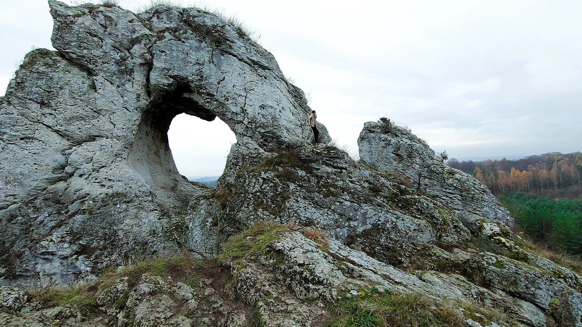 Jurajski Park Narodowy