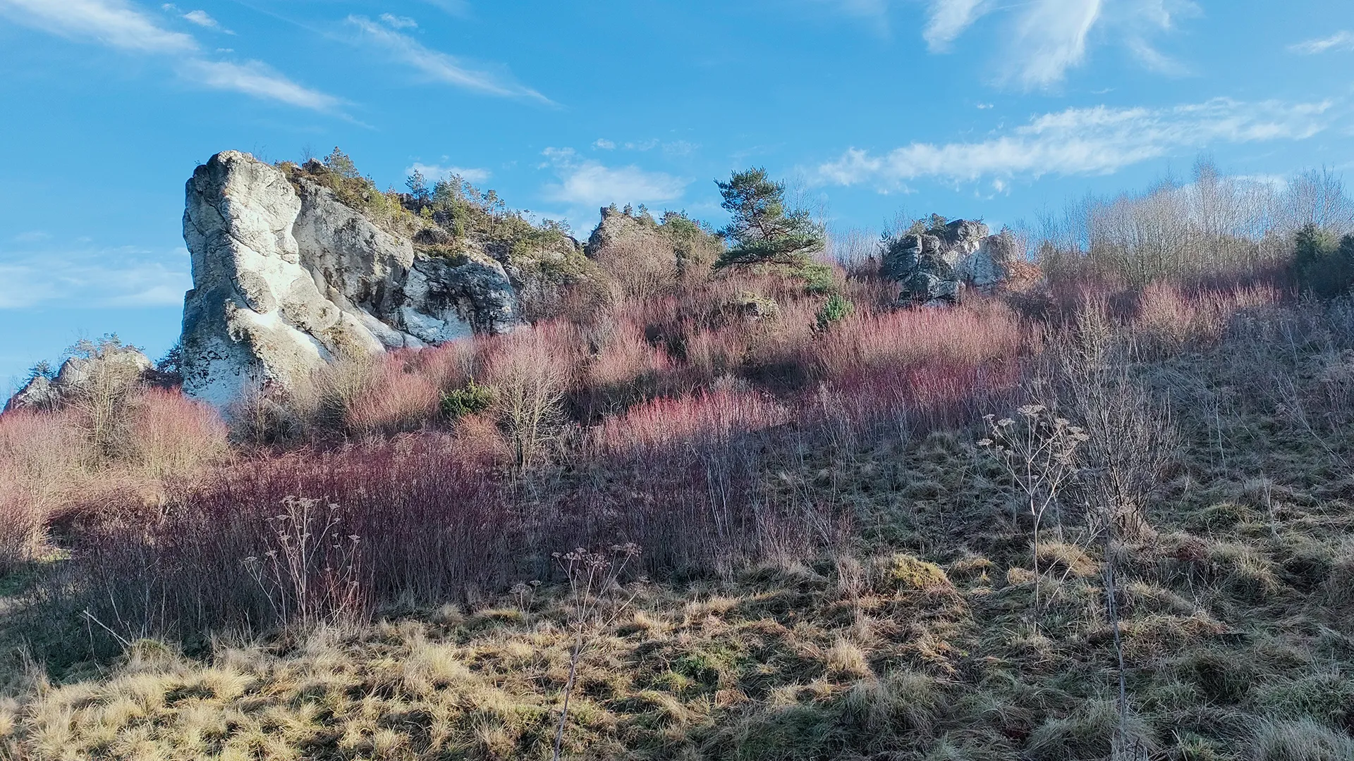 Jurajski Park Narodowy